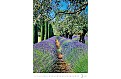 Nástěnný kalendář 2025 Kalendář Provence