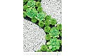 Nástěnný kalendář 2025 Kalendář Colour Art
