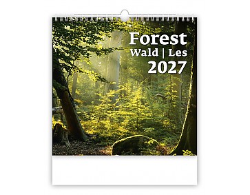 Nástěnný kalendář 2027 Helma - Les