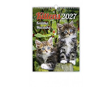 Nástěnný kalendář 2027 Helma - Koťátka