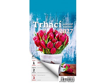 Nástěnný kalendář 2027 Helma - Týdenní trhací kalendář A6