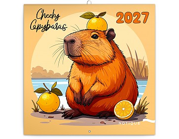 Nástěnný kalendář 2027 NOTIQUE - Rozverné kapybary, 30 x 30 cm