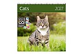 Nástěnný kalendář 2027 Helma - Cats