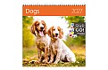 Nástěnný kalendář 2027 Helma - Dogs