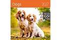 Nástěnný kalendář 2027 Helma - Dogs