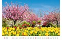 Nástěnný kalendář 2027 Helma - Gardens