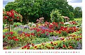 Nástěnný kalendář 2027 Helma - Gardens