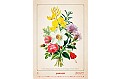 Nástěnný kalendář 2027 Helma - Herbarium