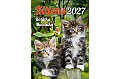 Nástěnný kalendář 2027 Helma - Koťátka