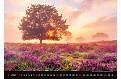 Nástěnný kalendář 2027 Helma - Landscapes