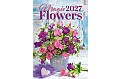Nástěnný kalendář 2027 Helma - Magic Flowers