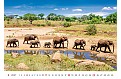 Nástěnný kalendář 2027 Helma - National Parks