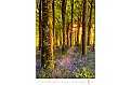 Nástěnný kalendář 2027 Helma - Nature Emotions