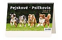 Stolní kalendář 2027 Helma - Pejskové / Psíčkovia