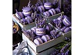 Nástěnný kalendář 2027 Helma - Provence - vázanka