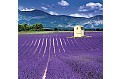 Nástěnný kalendář 2027 Helma - Provence - vázanka