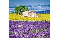 Nástěnný kalendář 2027 Helma - Provence - vázanka