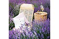 Nástěnný kalendář 2027 Helma - Provence - vázanka