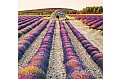 Nástěnný kalendář 2027 Helma - Provence - vázanka