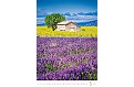 Nástěnný kalendář 2027 Helma - Provence