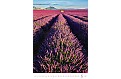Nástěnný kalendář 2027 Helma - Provence