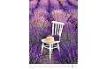 Nástěnný kalendář 2027 Helma - Provence