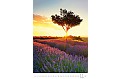 Nástěnný kalendář 2027 Helma - Provence