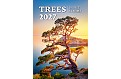 Nástěnný kalendář 2027 Helma - Stromy