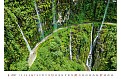 Nástěnný kalendář 2027 Helma - Via