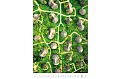Nástěnný kalendář 2027 Helma - World from Above