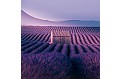 Nástěnný kalendář 2027 NOTIQUE - Provence, 30 x 30 cm