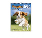Nástěnný kalendář 2027 Helma - Štěňátka